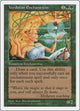 Verduran Enchantress (Fifth Edition)