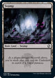 [Foil] Swamp (AFR #270)