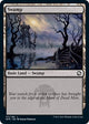 [Foil] Swamp (AFR #271)