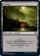 [Foil] Swamp (AFR #272)