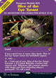 [Foil] Hive of the Eye Tyrant (Dungeon Module) (355) (Adventures in the Forgotten Realms)