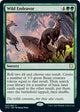 Wild Endeavor (43) (Adventures in the Forgotten Realms)