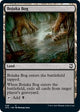 Bojuka Bog (226) (Adventures in the Forgotten Realms)