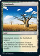 Grasslands (242) (Adventures in the Forgotten Realms)