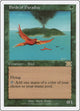 Birds of Paradise (217) (Classic Sixth Edition)