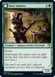 Bird Admirer (169) (Innistrad: Midnight Hunt)