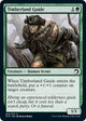 [Foil] Timberland Guide (202) (Innistrad: Midnight Hunt)