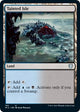 Tainted Isle (183) (Innistrad: Midnight Hunt)