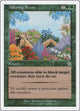 Alluring Scent (124) (Starter 1999)