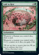 [Foil] Laid to Rest (207) (Innistrad: Crimson Vow)