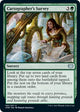 [Foil] Cartographer's Survey (190) (Innistrad: Crimson Vow)