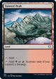 Tainted Peak (184) (Innistrad: Crimson Vow)