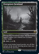 [Foil] Overgrown Farmland (265) (Innistrad: Double Feature)