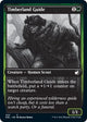 [Foil] Timberland Guide (202) (Innistrad: Double Feature)
