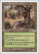 Havenwood Battleground (325) (Classic Sixth Edition)