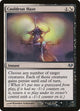 [Foil] Cauldron Haze (84) (Eventide)
