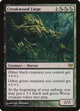 Creakwood Liege (117) (Eventide)