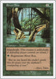 River Boa (249) (Classic Sixth Edition)