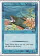 Coral Eel (33) (Starter 1999)
