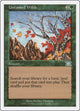 Untamed Wilds (263) (Classic Sixth Edition)