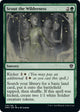 Scout the Wilderness (176) (Dominaria United)