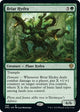 [Foil] Briar Hydra (286) (286) (Dominaria United)