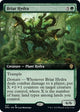 Briar Hydra (Extended Art) (427) (Dominaria United)