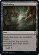 Bojuka Bog (199) (Dominaria United)