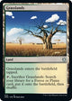 Grasslands (214) (Dominaria United)
