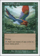 Birds of Paradise (231) (7th Edition)