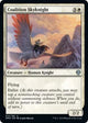 [Foil] Coalition Skyknight (14) (Dominaria United)