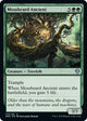 [Foil] Mossbeard Ancient (173) (Dominaria United)
