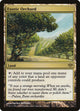 [Foil] Exotic Orchard (142) (Conflux)
