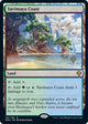 [Foil] Yavimaya Coast (261) (Dominaria United)