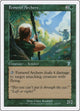 Femeref Archers (244) (7th Edition)