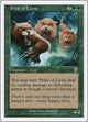 Pride of Lions (261) (7th Edition)