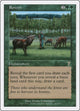[Foil] Rowen (266) (7th Edition)