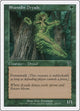 Shanodin Dryads (269) (7th Edition)