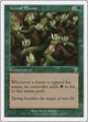 Vernal Bloom (281) (7th Edition)