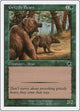 Grizzly Bears (129) (Starter 1999)
