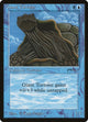 Giant Tortoise (Arabian Nights)