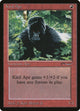 Kird Ape (Arabian Nights)