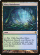 Misty Rainforest (220) (Zendikar)