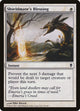 Shieldmate's Blessing (35) (Zendikar)