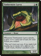 Timbermaw Larva (189) (Zendikar)