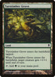 Turntimber Grove (227) (Zendikar)