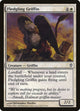 [Foil] Fledgling Griffin (5) (Worldwake)