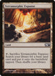 Terramorphic Expanse (229) (Magic 2011 (M11))
