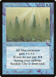 Sunken City (The Dark)