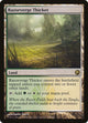 [Foil] Razorverge Thicket (228) (Scars of Mirrodin)